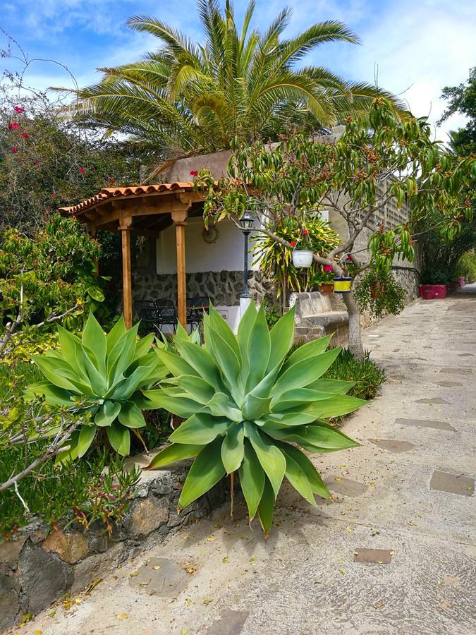Finca El Castillo Buenavista Del Norte Buitenkant foto